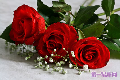 3朵玫瑰