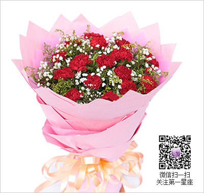 红色康乃馨花语,送红色康乃馨代表什么?